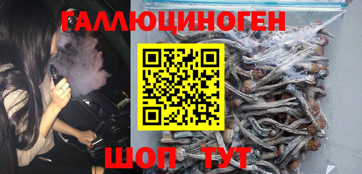 Псилоцибиновые грибы Magic Shrooms  Вход с VPN  Каменка  Галлюциногенные грибы Magic Shrooms 