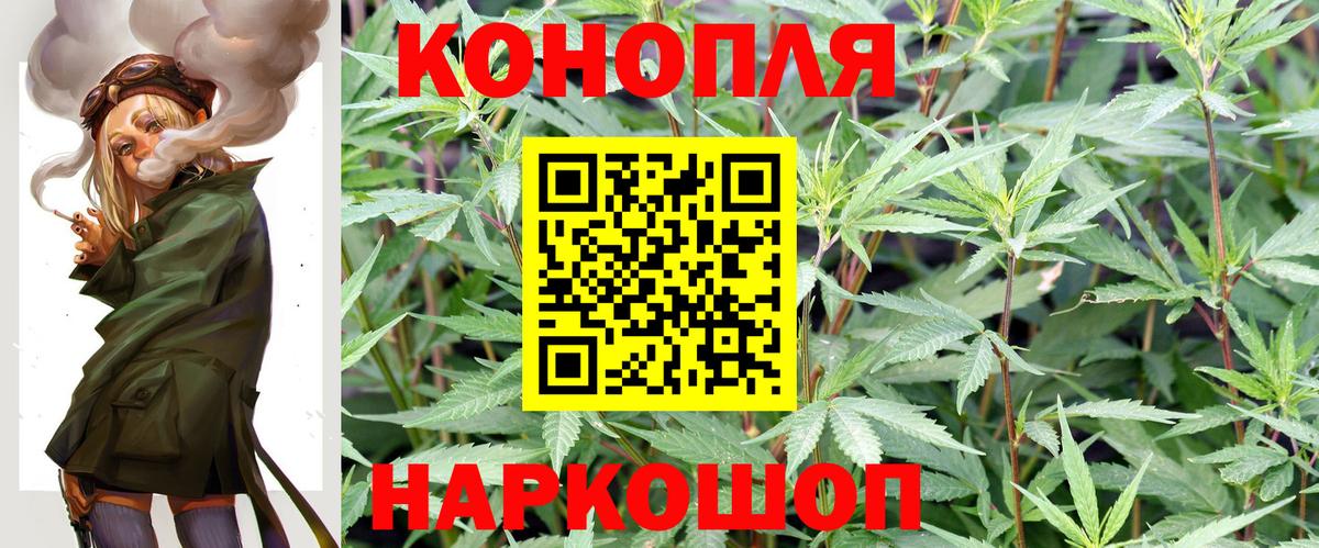 Бошки Шишки конопля Каменка